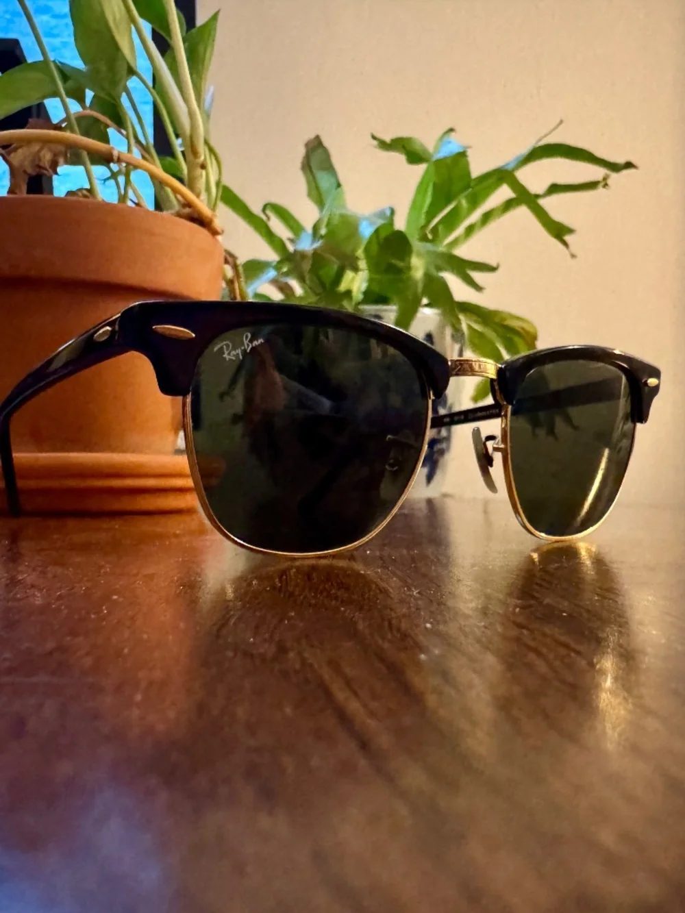 Ray-Ban very well